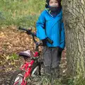 Fred leans on a tree, Hot-tub Penthouse, Thornham Walks, and Building, London and Suffolk - 12th November 2015