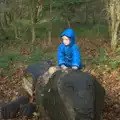 Harry climbs on the lion, Hot-tub Penthouse, Thornham Walks, and Building, London and Suffolk - 12th November 2015