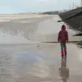 Fred wanders up the beach, Christmas Eve in Dublin and Blackrock, Ireland - 24th December 2015