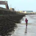 Fred runs off up the beach, Christmas Eve in Dublin and Blackrock, Ireland - 24th December 2015