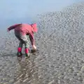 Fred picks some seaweed up, Christmas Eve in Dublin and Blackrock, Ireland - 24th December 2015