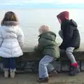 Annalua, Harry and Fred look out to sea, Blackrock North and the Ferry Home, County Louth and the Irish Sea - 27th December 2015