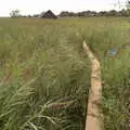 A boathouse in the reeds, A Trip to Waxham Sands,  Horsey, Norfolk - 27th August 2016