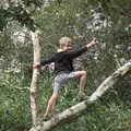 Fred stands up a tree and points, A Trip to Waxham Sands,  Horsey, Norfolk - 27th August 2016