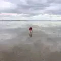 Fred digs into the mud, A Trip to Da Gorls, Monkstown Farm, County Dublin, Ireland - 4th August 2018