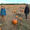 The boys are overwhelmed by the pumpkins on offer, Pumpkin Picking at Alstede Farm, Chester, Morris County, New Jersey - 24th October 2018