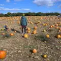 Harry hugs his pumpkin, Pumpkin Picking at Alstede Farm, Chester, Morris County, New Jersey - 24th October 2018