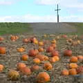 Pumpkins, and a cross on the hill, Pumpkin Picking at Alstede Farm, Chester, Morris County, New Jersey - 24th October 2018