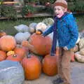 Harry's amazed by a pumpkin, Pumpkin Picking at Alstede Farm, Chester, Morris County, New Jersey - 24th October 2018