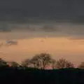 A sunset over skeleton trees, Boxing Day in Devon, Spreyton, Devon - 26th December 2018