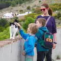 The boys find another cat, The Caves of Nerja, and Frigiliana, Andalusia, Spain - 18th April 2019