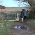 There's another gate to navigate, To See the Seals, Horsey Gap, Norfolk - 10th January 2020