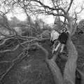 Black and white trees, A Trip to Orford, Suffolk - 25th January 2020