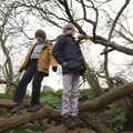 Back in the trees, A Trip to Orford, Suffolk - 25th January 2020