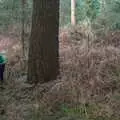 Off in the dried bracken, A Trip to High Lodge, Brandon, Suffolk - 7th March 2020