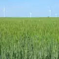 The wind turbines and a field of barley, A Walk up Rapsy Tapsy Lane, Eye, Suffolk - 9th May 2020