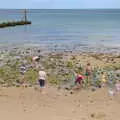 Rock pooling as the tide has gone out, Camping on the Coast, East Runton, North Norfolk - 25th July 2020