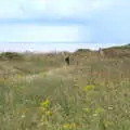 Flowers on the cliff top, Camping on the Coast, East Runton, North Norfolk - 25th July 2020