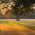 Golden sun on the Oaksmere's balloon field, Back at Ickworth, and Oaksmere with the G-Unit, Horringer and Brome, Suffolk - 8th August 2020