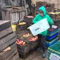 Fred carts boxes around, Trevor's Last Apple Pressing, Carleton Rode and Shelfanger, Norfolk - 18th October 2020