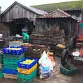 Fred pokes around in the apple yard, Trevor's Last Apple Pressing, Carleton Rode and Shelfanger, Norfolk - 18th October 2020