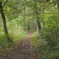 A path through the woods, A Walk Around Thornham Estate, Thornham Magna, Suffolk - 18th October 2020