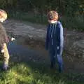 Fred stands in a puddle as Harry points, A Walk Around the Avenue, Brome, Suffolk - 25th October 2020