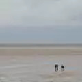 People out on the extensive mudflats, A Postcard From Kings Lynn and "Sunny Hunny" Hunstanton, Norfolk - 31st October 2020