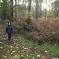 The boys in the forest, A Trip to Sandringham Estate, Norfolk - 31st October 2020