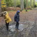 Fred and Harry splash about in puddles, A Trip to Sandringham Estate, Norfolk - 31st October 2020