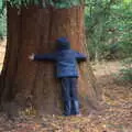 Harry hugs a tree, A Trip to Sandringham Estate, Norfolk - 31st October 2020