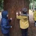The boys discover that the bark is furry, A Trip to Sandringham Estate, Norfolk - 31st October 2020