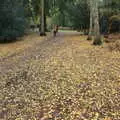 A carpet of golden leaves, A Trip to Sandringham Estate, Norfolk - 31st October 2020