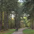 The boys in the pine forest, A Trip to Sandringham Estate, Norfolk - 31st October 2020