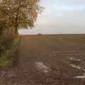 Winter Wheat peeks out from the soil, Pre-Lockdown in Station 119, Eye, Suffolk - 4th November 2020