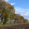 Autumn trees, Drone Flying and the Old Chapel, Thrandeston, Suffolk - 15th November 2020