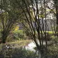 A small pond, Drone Flying and the Old Chapel, Thrandeston, Suffolk - 15th November 2020