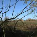 A gnarly bare bush, Drone Flying and the Old Chapel, Thrandeston, Suffolk - 15th November 2020