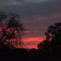 There's a nice sunset over the field, The Dereliction of Eye, Suffolk - 22nd November 2020