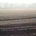 Silver frost on a field of winter wheat, Frosty Rides and a Christmas Tree, Diss Garden Centre, Diss, Norfolk - 29th November 2020