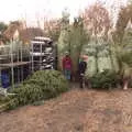 The boys inspect Christmas trees, Frosty Rides and a Christmas Tree, Diss Garden Centre, Diss, Norfolk - 29th November 2020