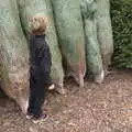 Harry looks up at tall trees at the garden centre, Frosty Rides and a Christmas Tree, Diss Garden Centre, Diss, Norfolk - 29th November 2020