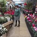 Isobel looks at plants, Frosty Rides and a Christmas Tree, Diss Garden Centre, Diss, Norfolk - 29th November 2020