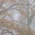 Mist around the Oaksmere's trees flattens the colours, A Return to the Oaksmere, Brome, Suffolk - 8th December 2020