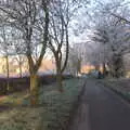 Frosty trees in Thrandeston, More Frosty Rides and the Old Mink Sheds, Brome, Suffolk - 10th December 2020