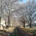 The road out of Thrandeston, More Frosty Rides and the Old Mink Sheds, Brome, Suffolk - 10th December 2020