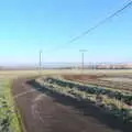 Ice from the wires has fallen off in lines, More Frosty Rides and the Old Mink Sheds, Brome, Suffolk - 10th December 2020