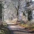 The road to Thornham, More Frosty Rides and the Old Mink Sheds, Brome, Suffolk - 10th December 2020