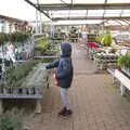 Harry points at tiny trees in the garden centre, Joe Wicks and Diss on Saturday, Norfolk - 19th December 2020
