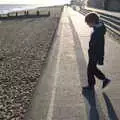 Fred considers the next jump, A Return to the Beach, Southwold, Suffolk - 20th December 2020